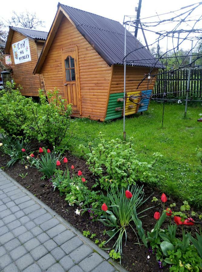 "У Пасічника" Котедж Для Сім'Ї Yaremche Exterior foto